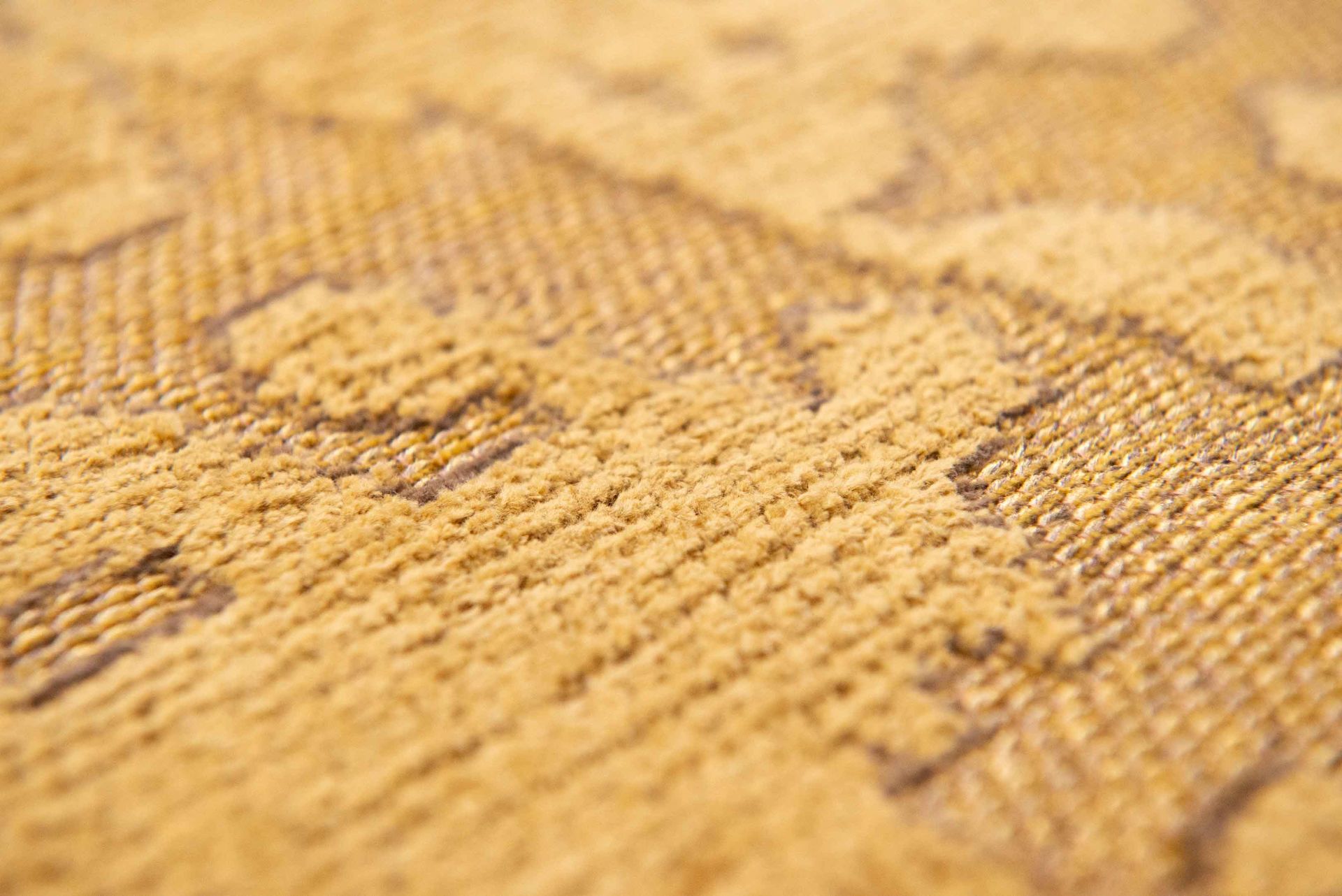 Baobab 9201 Madagascar Gold – Bild 6