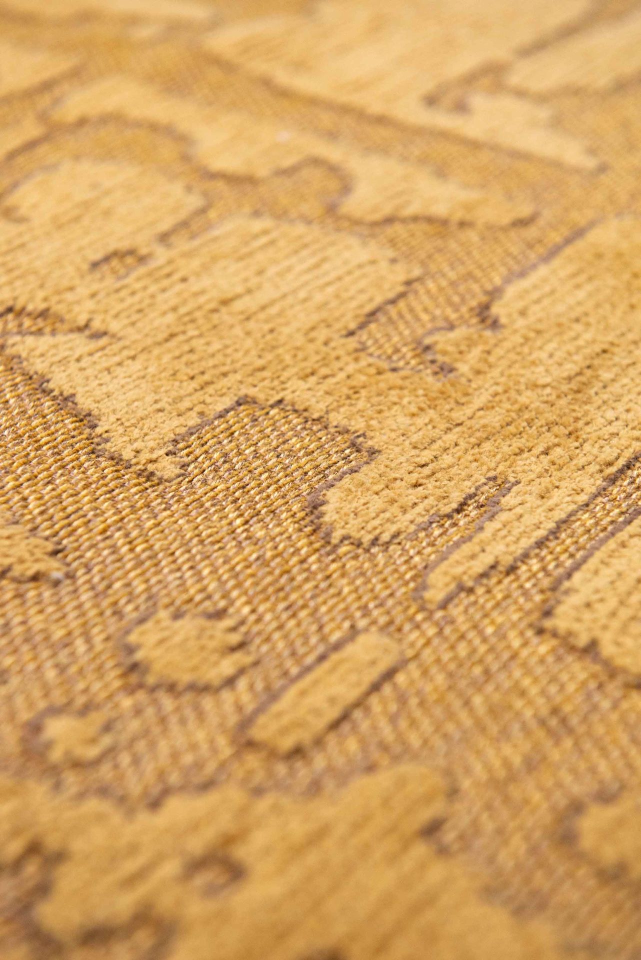 Baobab 9201 Madagascar Gold – Bild 7