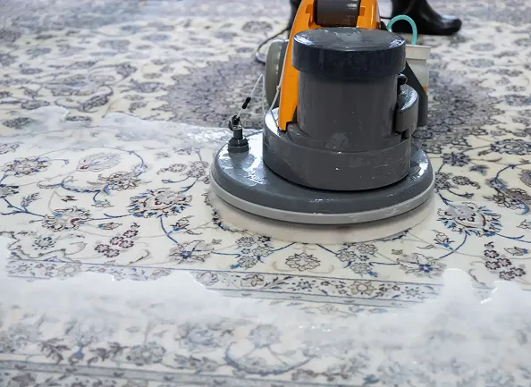 Professional Carpet cleaning - carpettos.de