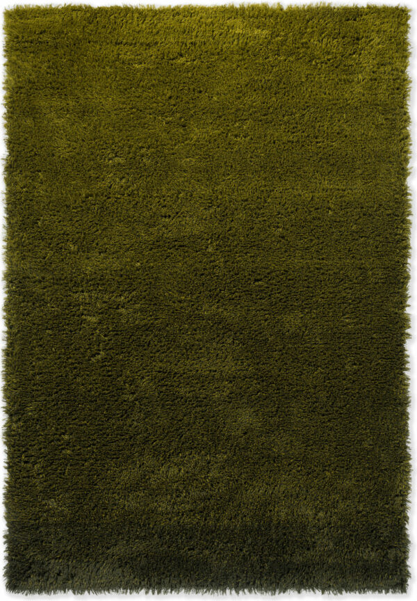 Shade High Olive/Deep Forest