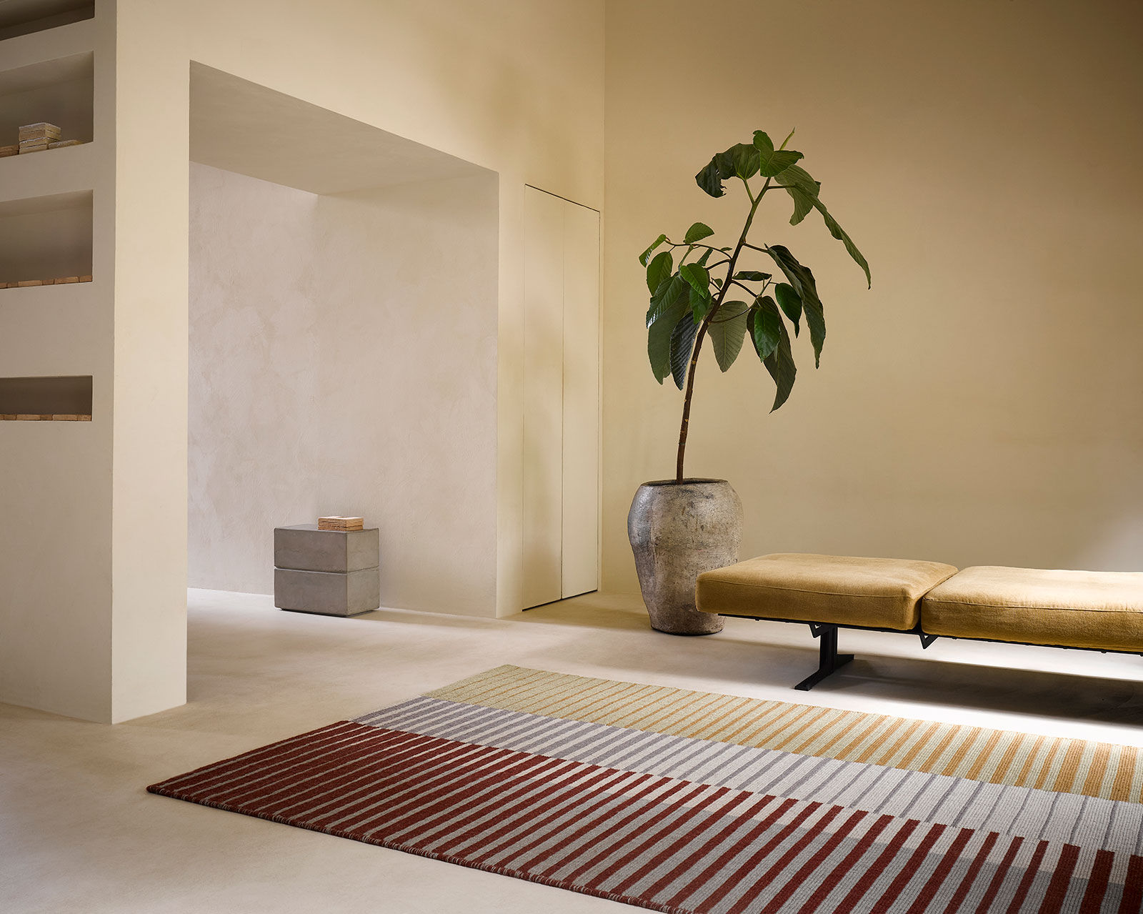 Artisan Focus Dawn – Bild 3