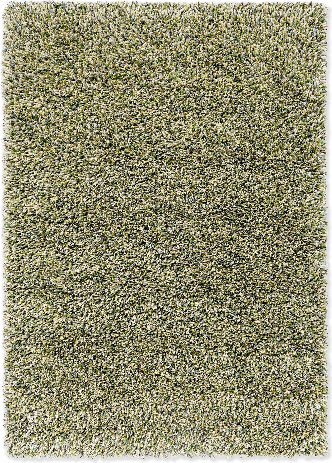 Spring Evergreen – Bild 1