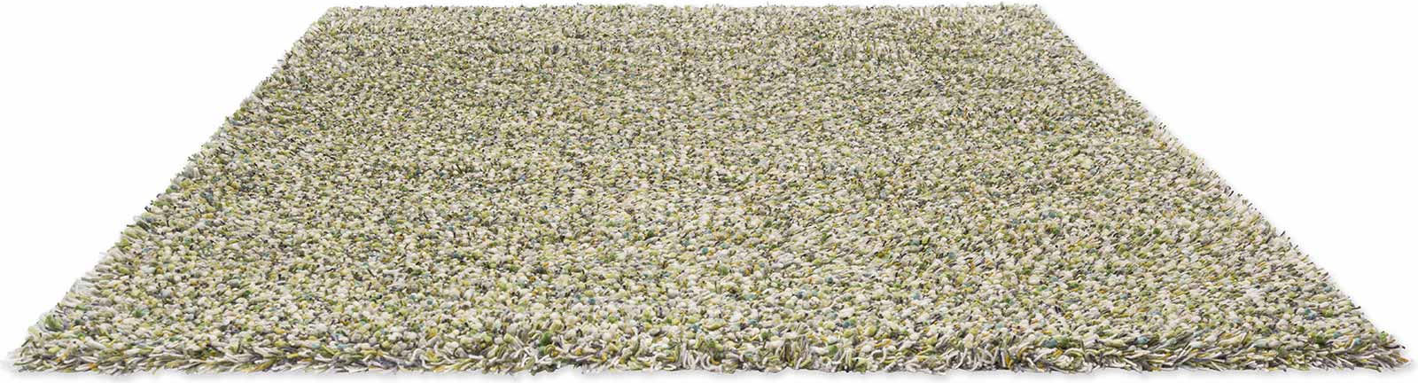 Spring Evergreen – Bild 4