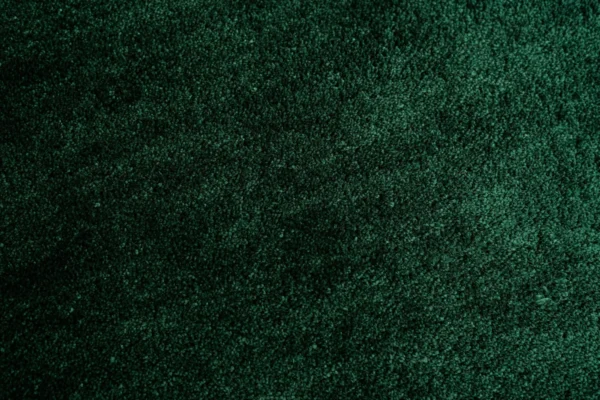 Cozy UNI 300 green – Bild 2