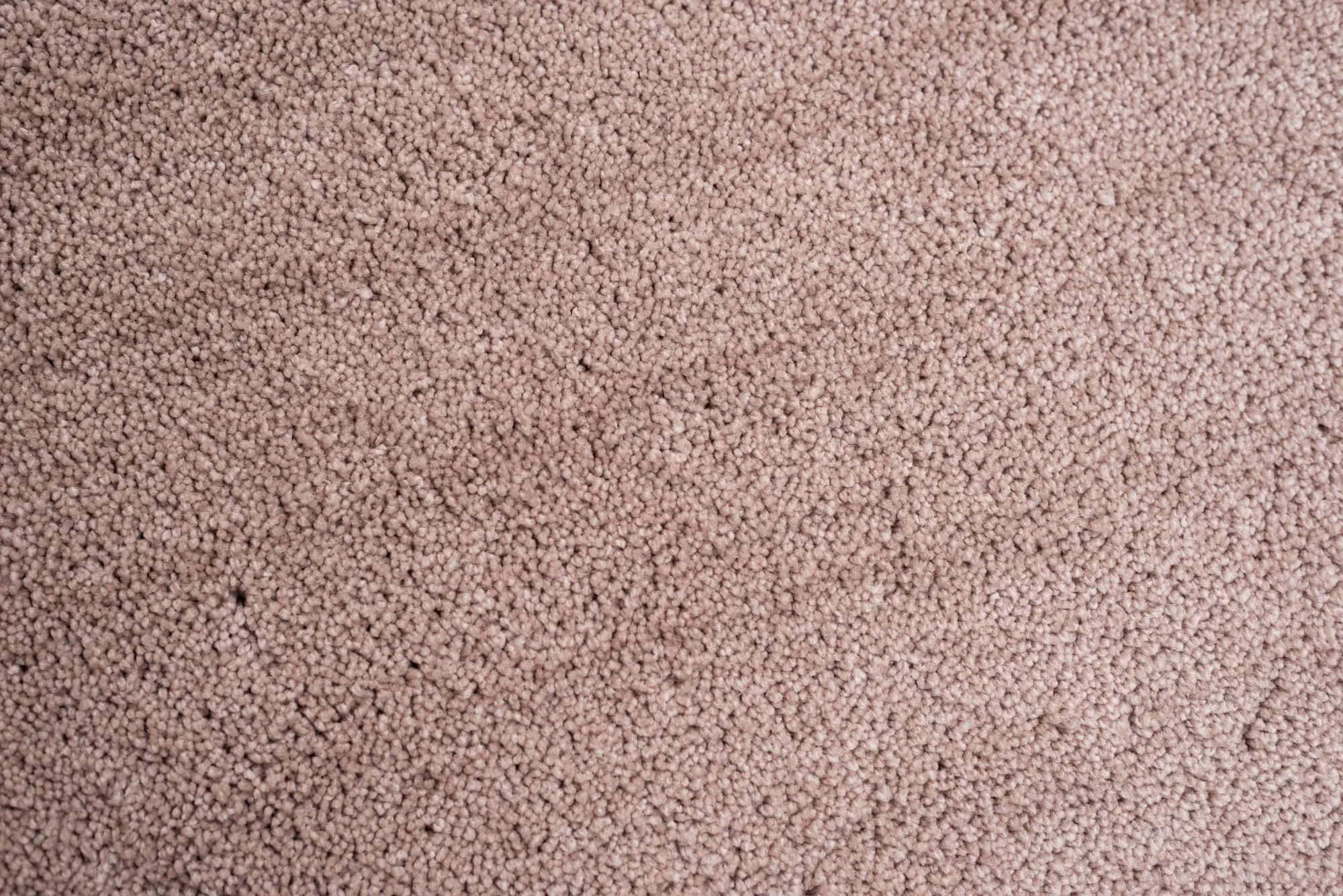 Cozy UNI 550 beige – Bild 2