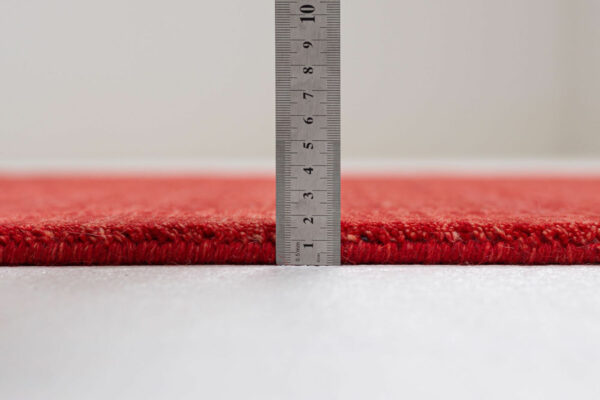 Holi UNI 200 red – Bild 4