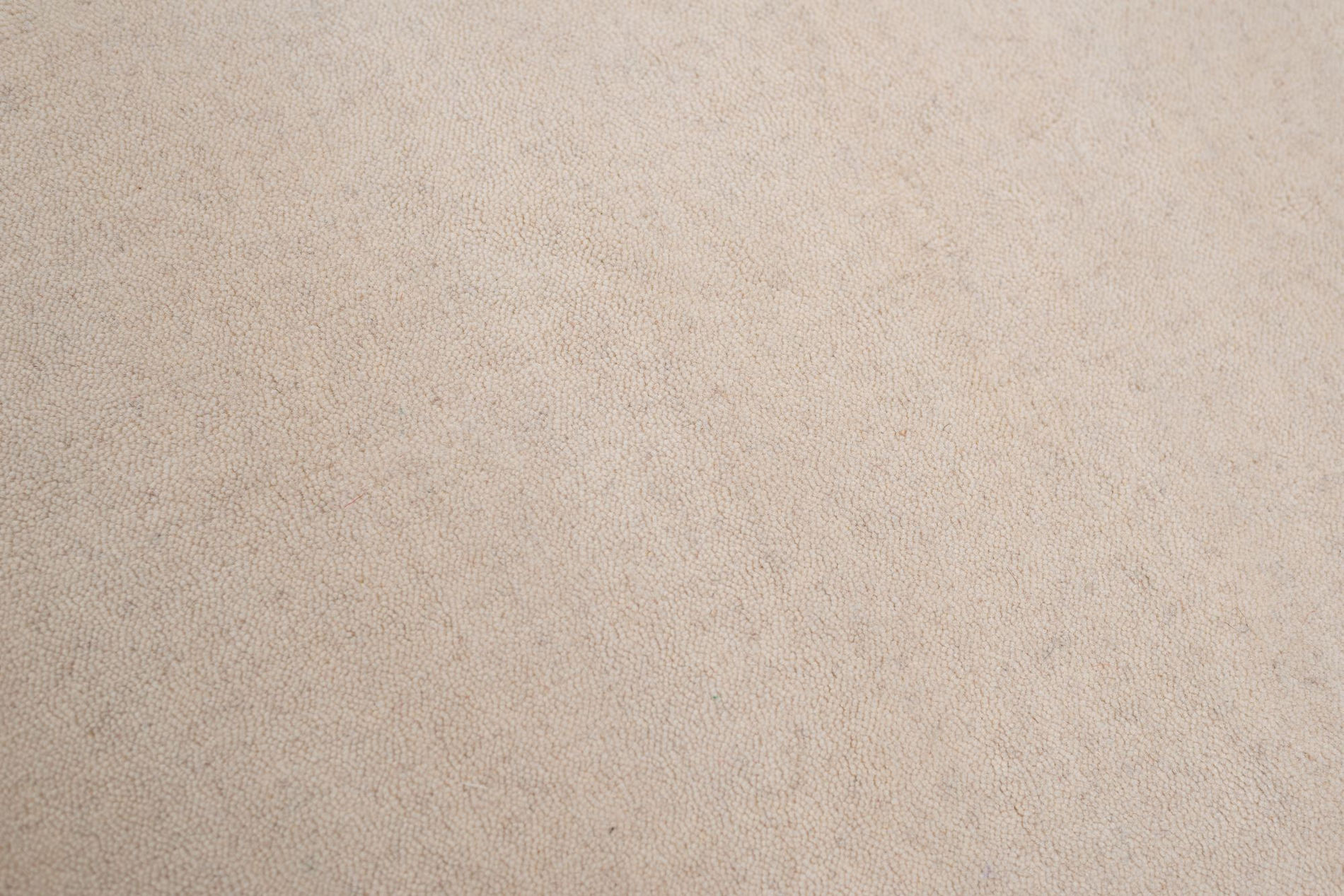 Holi UNI 580 cream – Bild 3