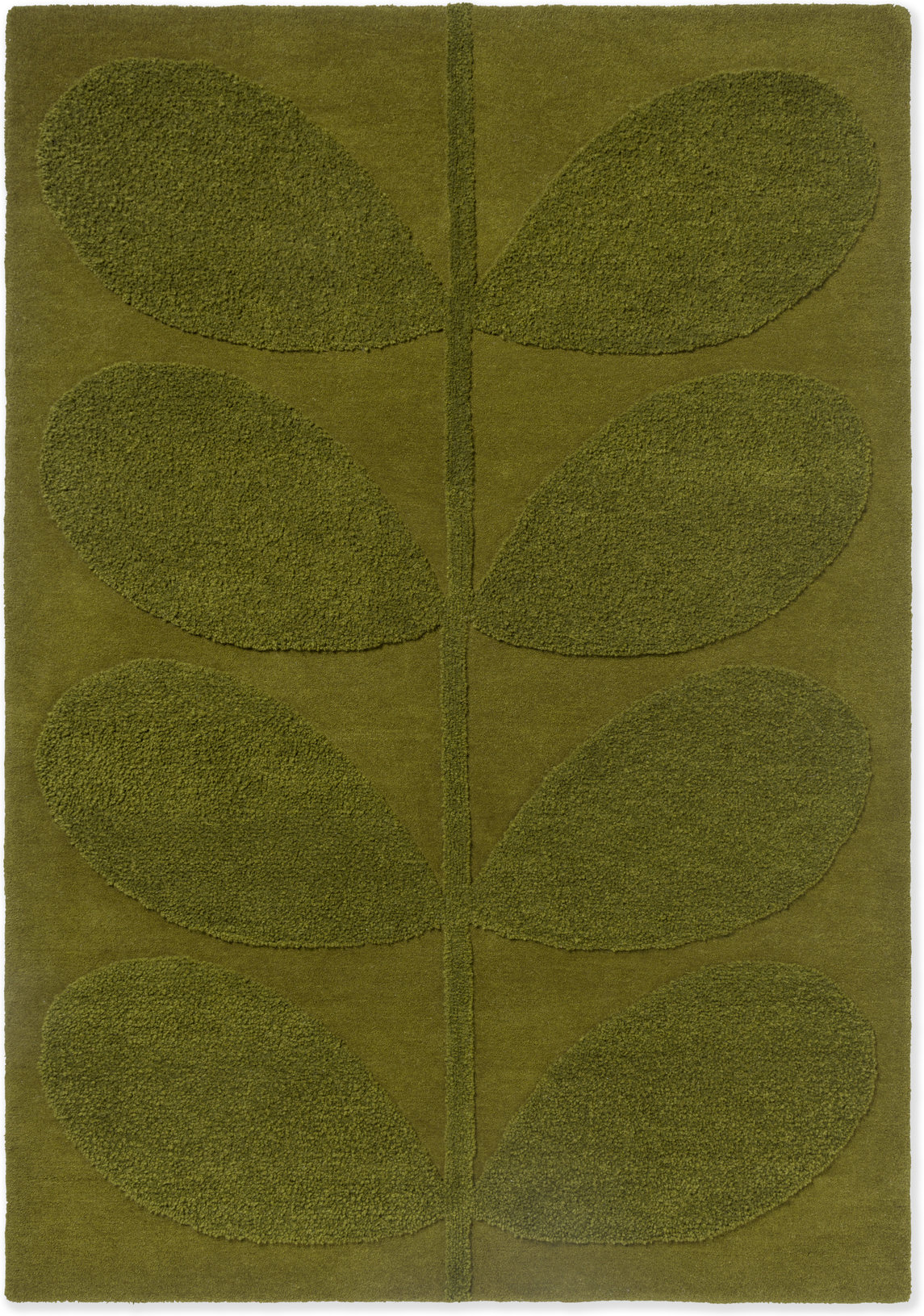 Solid Stem Fern – Bild 1