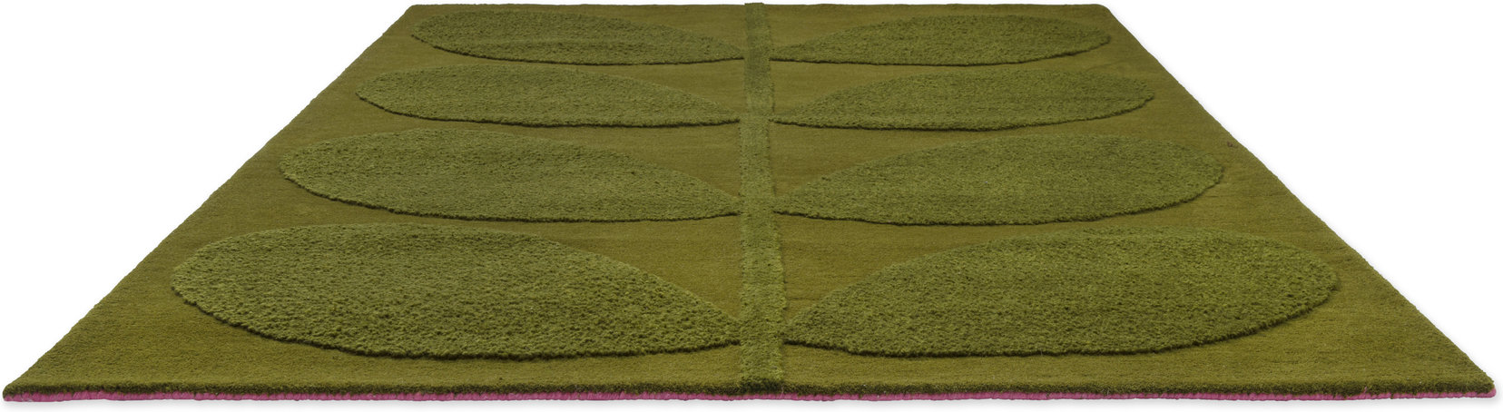 Solid Stem Fern – Bild 7
