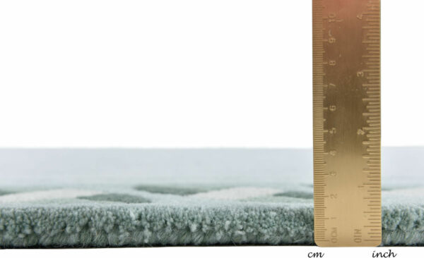 Royal Nepali 3029 310 mint – Bild 4