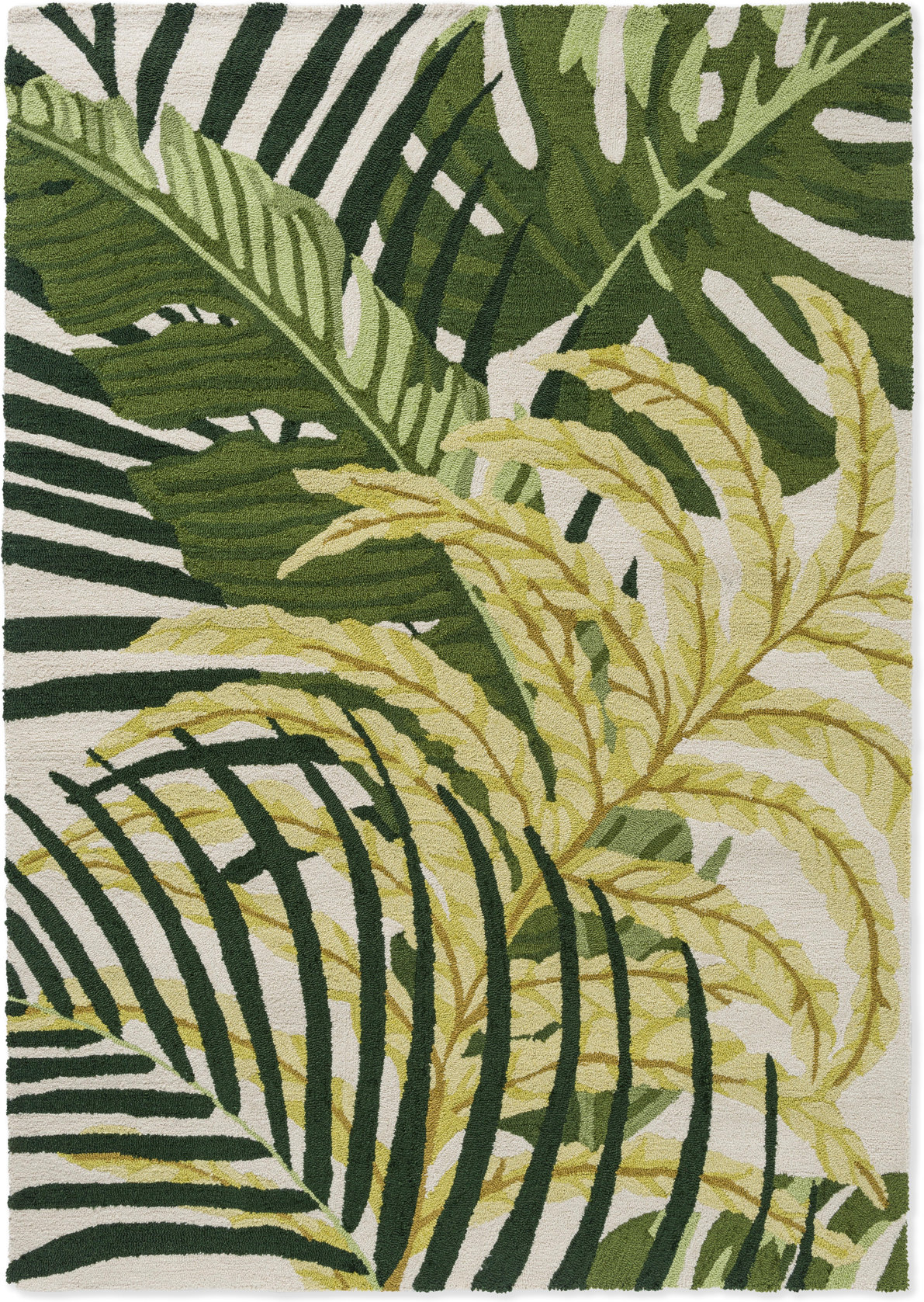 Manila Artichoke outdoor – Bild 1