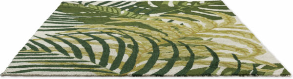 Manila Artichoke outdoor – Bild 5