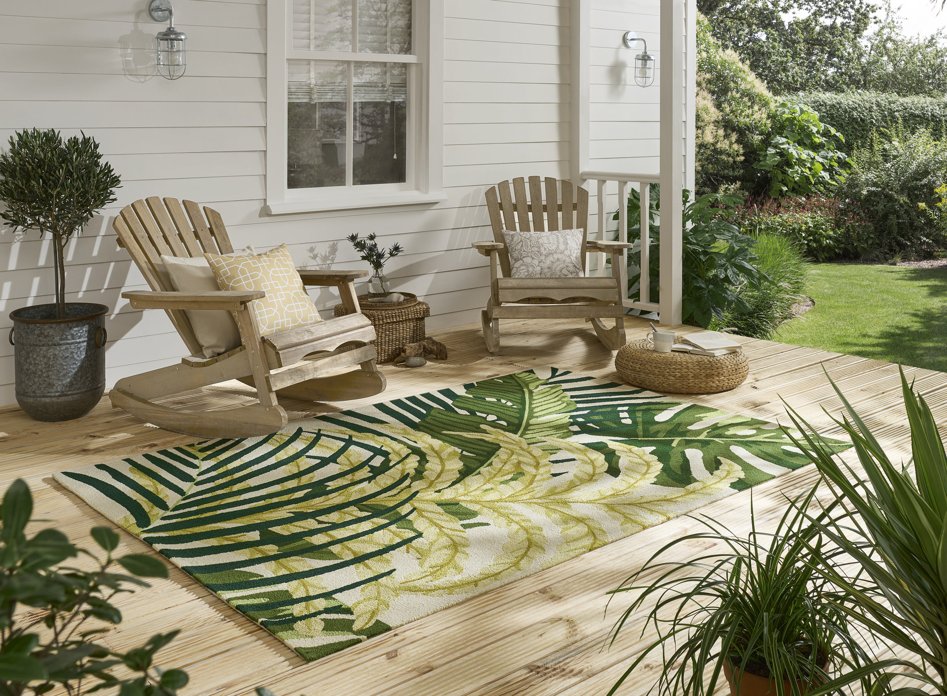 Manila Artichoke outdoor – Bild 6