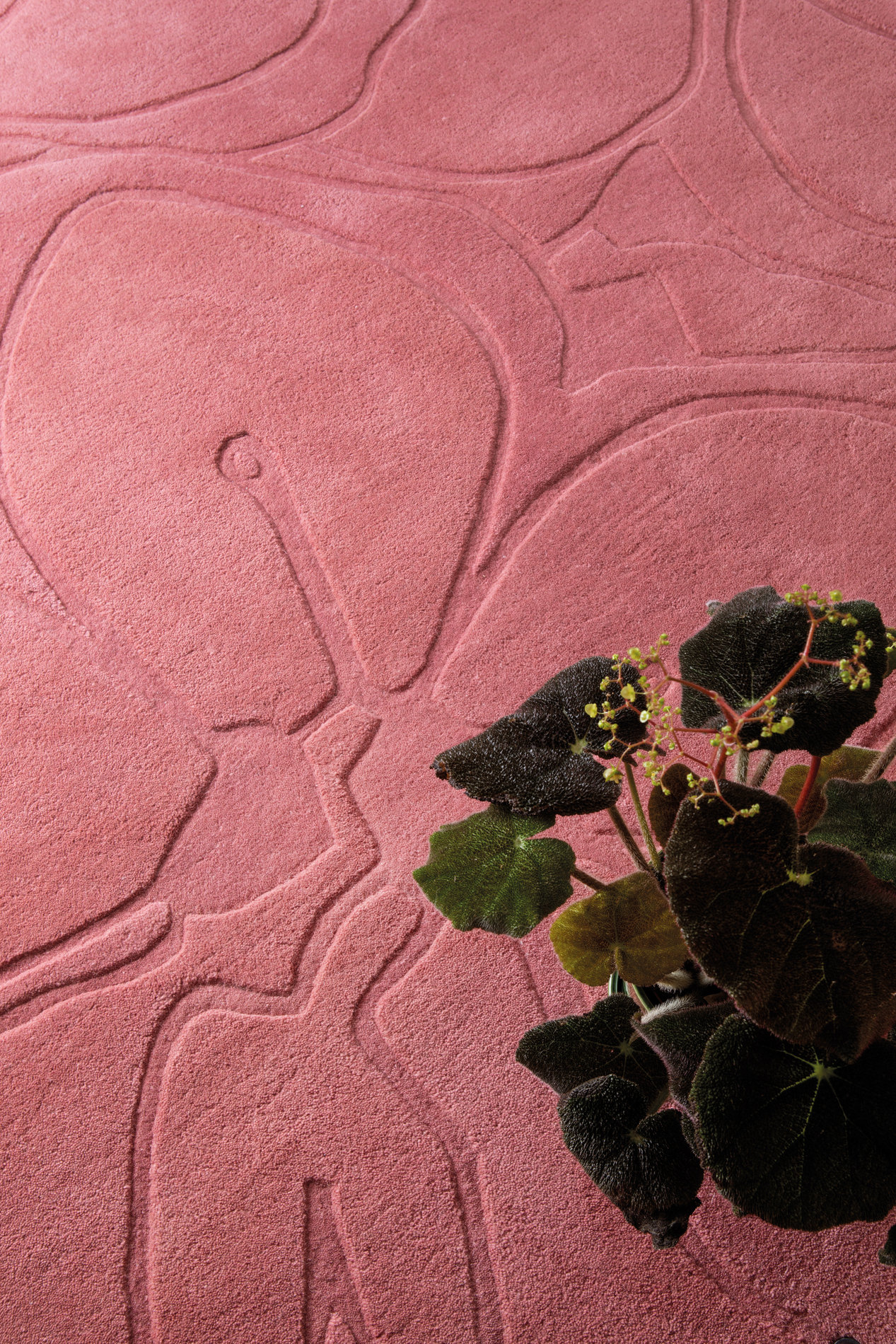 Romantic Magnolia Pink – Bild 2