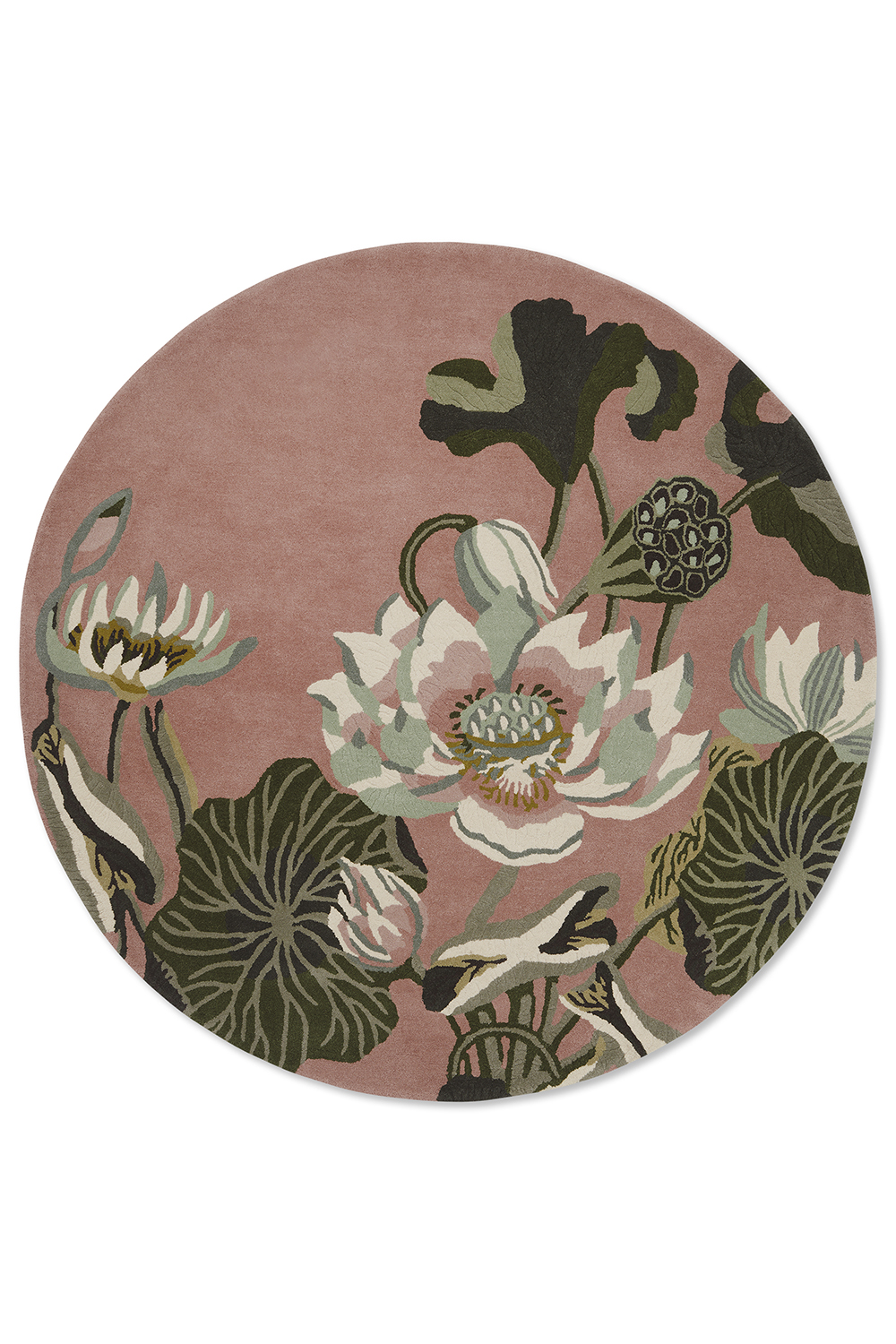 Waterlily Dusty Rose – Bild 7