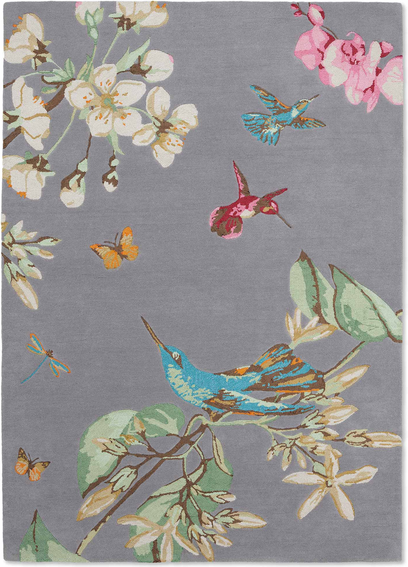Hummingbird Grey – Bild 1