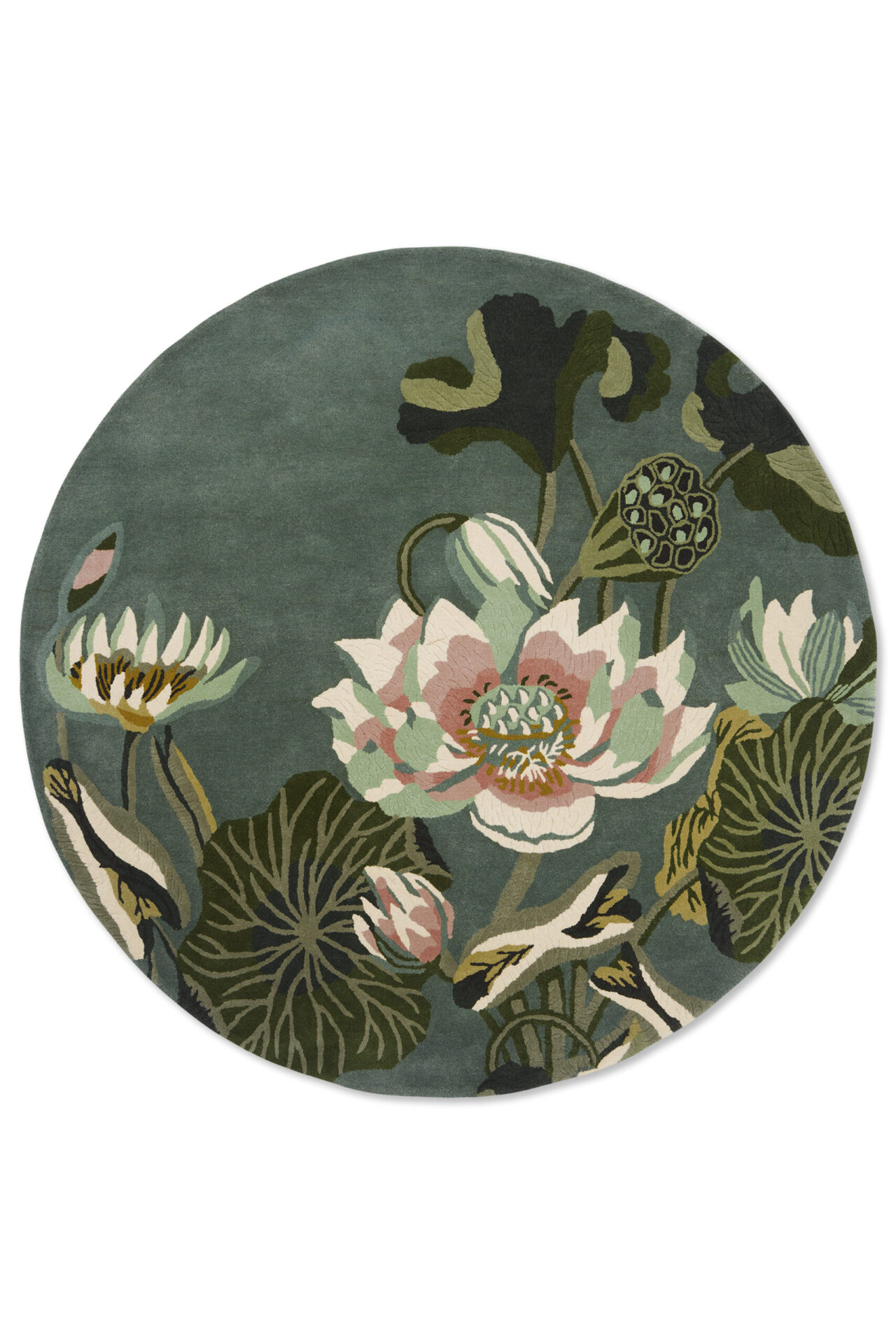 Waterlily Midnight Pond – Bild 7