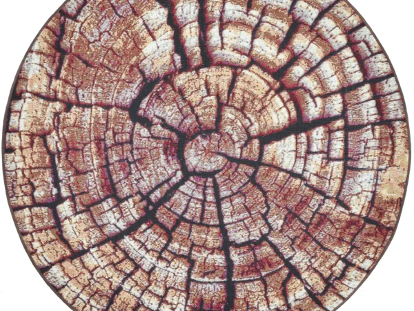 Aurora Gf 095 505brown Multi 424348 1