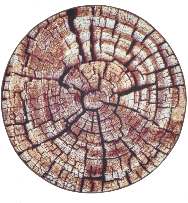 Aurora Gf 095 505brown Multi 424348 1