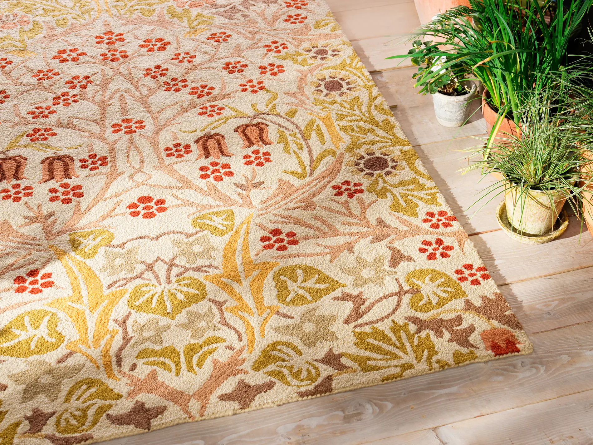 Mor O Blackthorn Wheat 428501 Sfeer D Hr