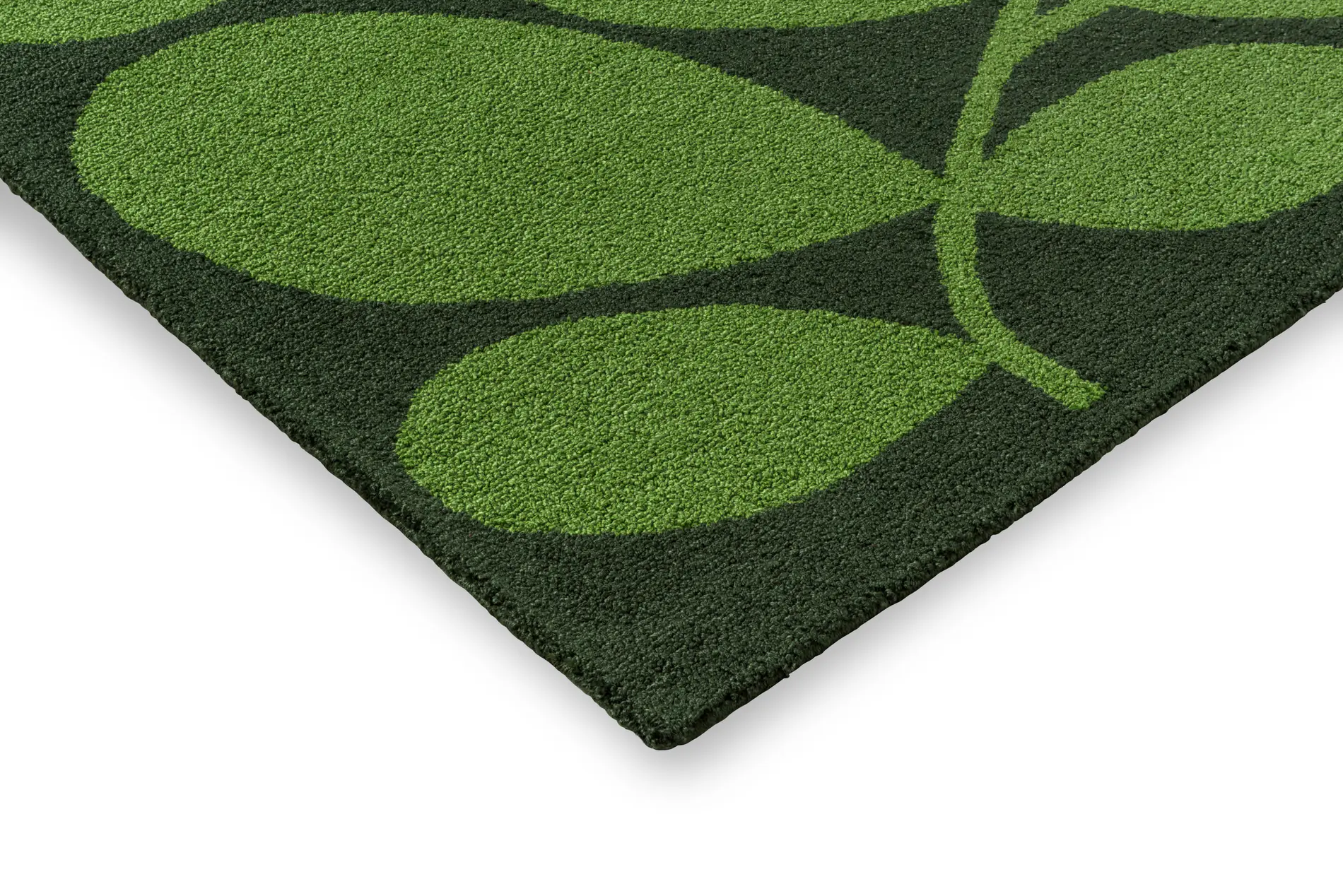 Ok O Sycamore Dill 464207 E Hr