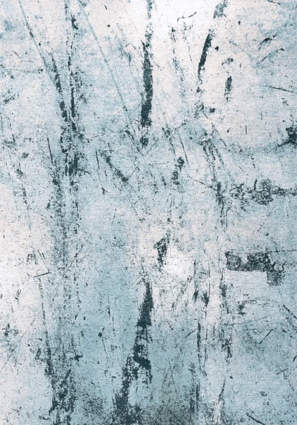 9773 Dragonfly Flatdown Rgb