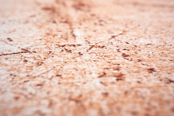 9774 Tandoori Detail3 Rgb