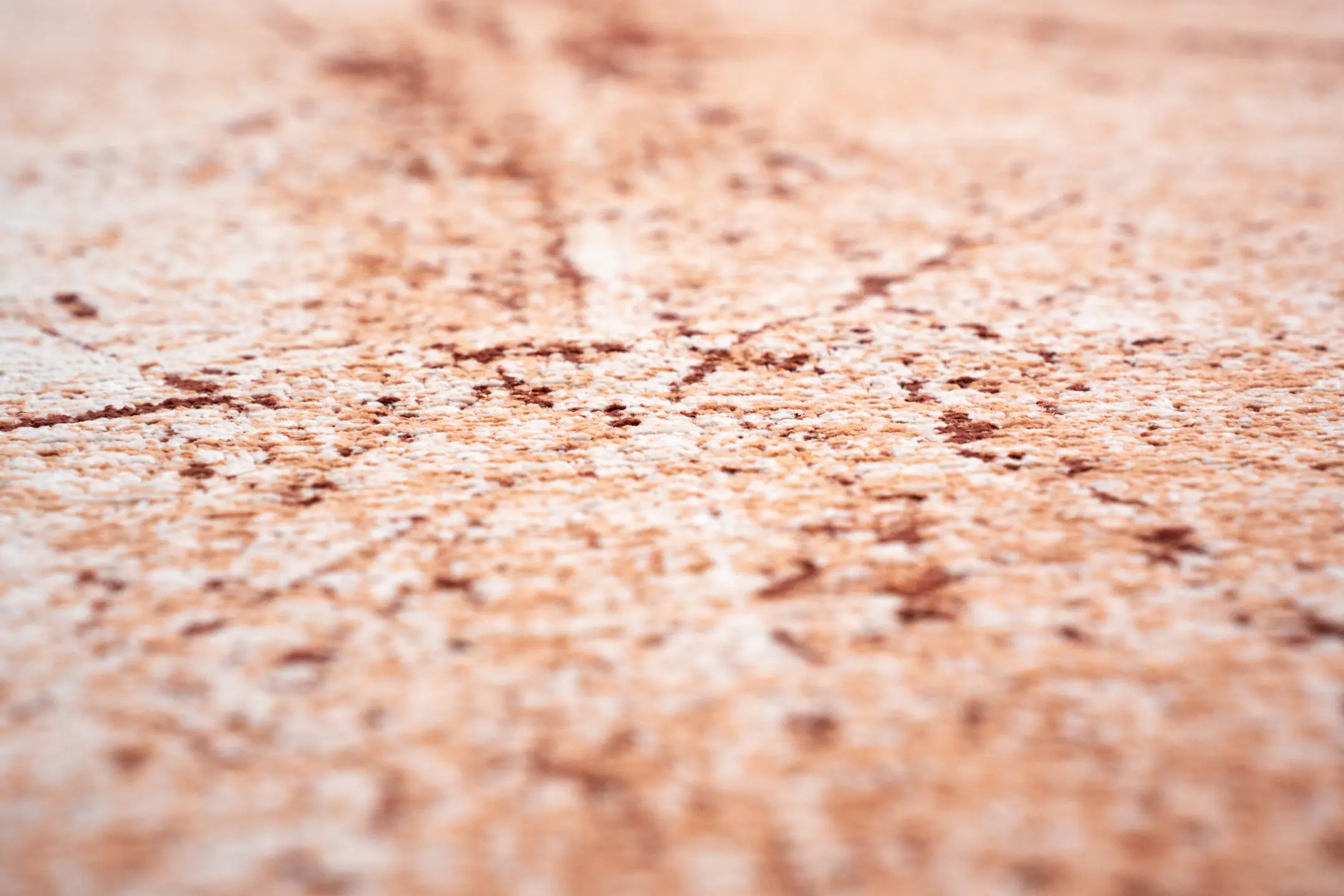 9774 Tandoori Detail3 Rgb