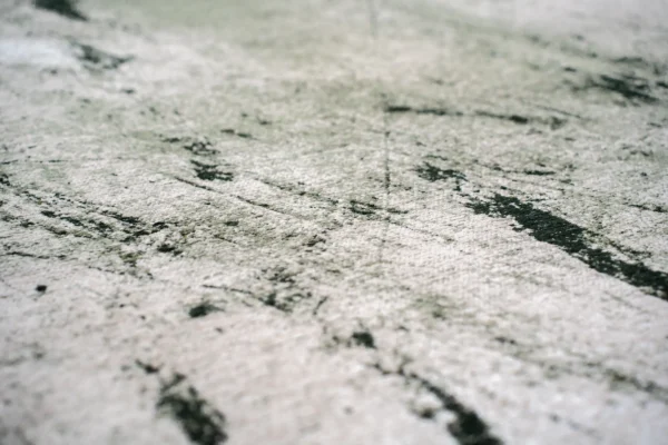 9787 Alpine Detail1 Rgb